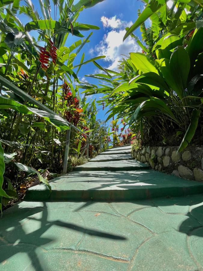 Dreams Lodge Orosi Cartago Exterior foto